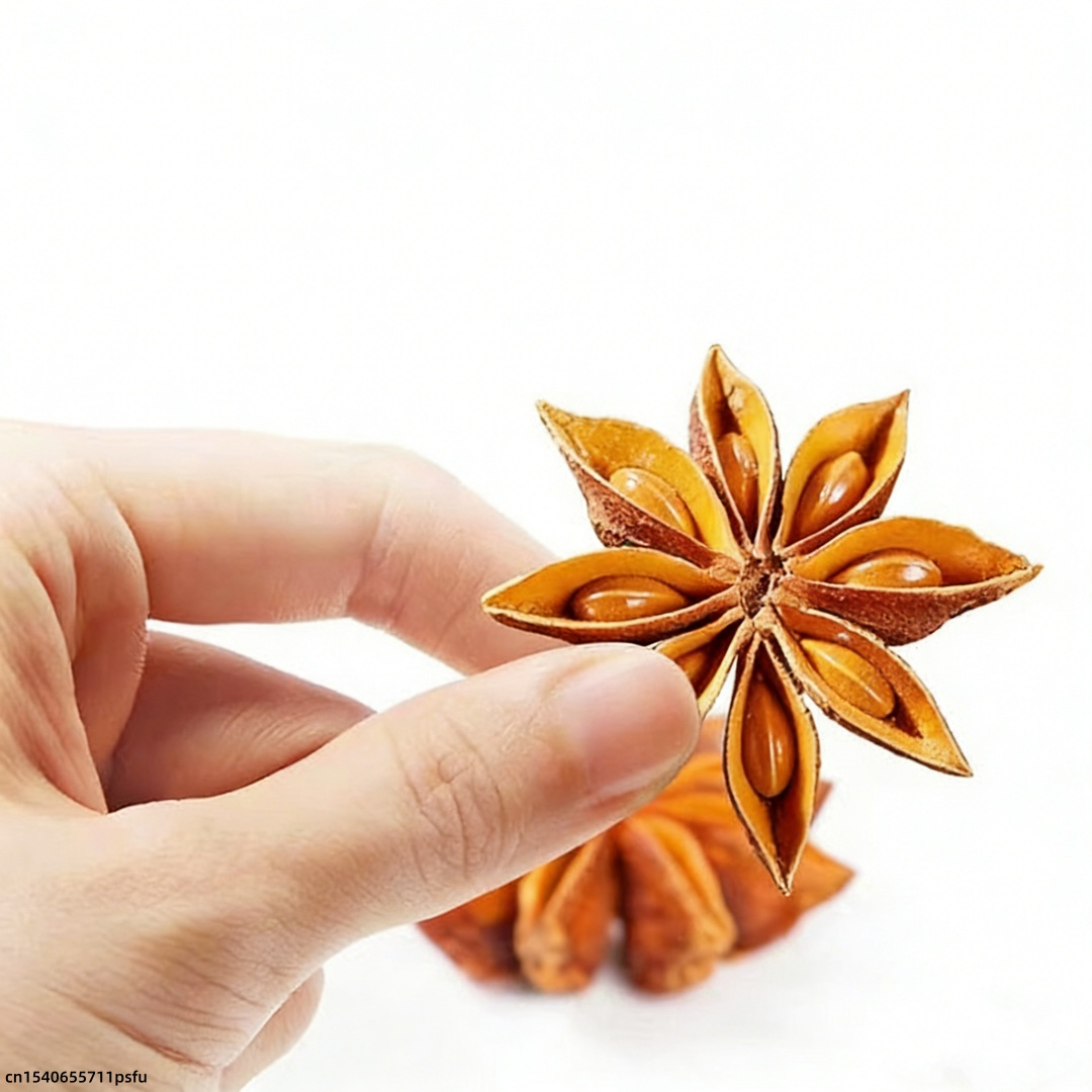 Premium Star Anise Dried Flowe - Candle Fragrance Supplies บทวิจารณ์และราคา