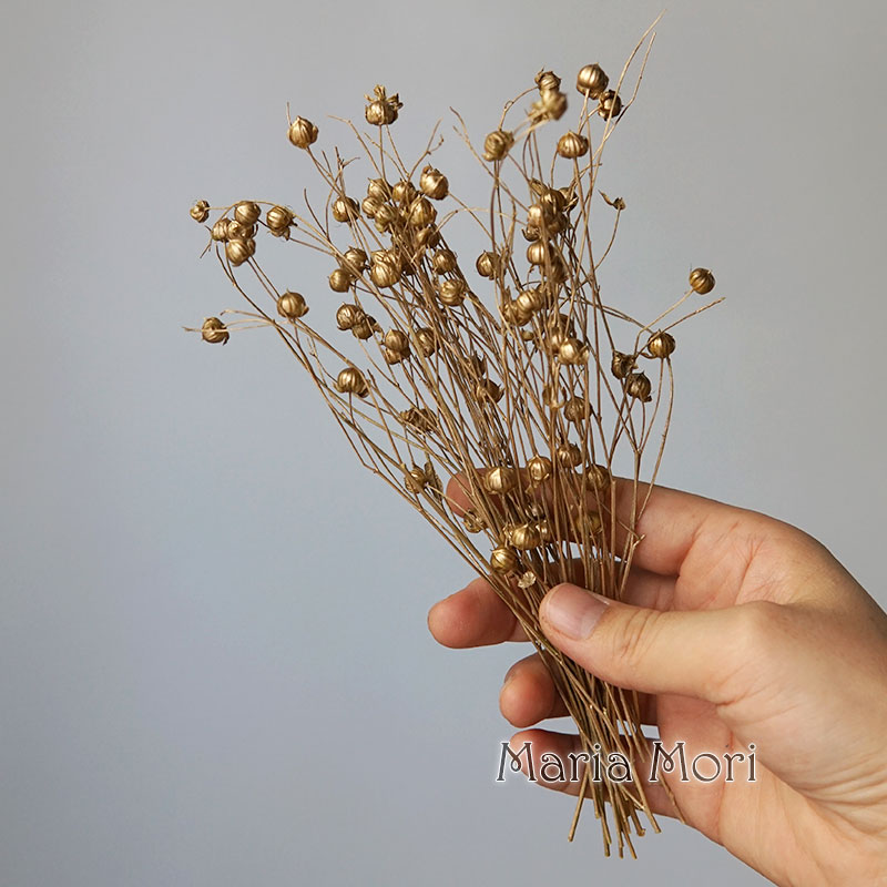 5g Preserved Flax Bean Natural - Candle Making Supplies Online บทวิจารณ์และราคา