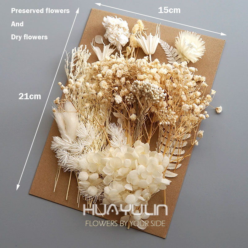 1 Pack Artificial Plants Dried - Candle Making Supplies Online บทวิจารณ์และราคา